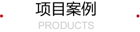 項目案例